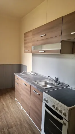 Pronájem bytu 3+1, Dolní Branná, 60 m2