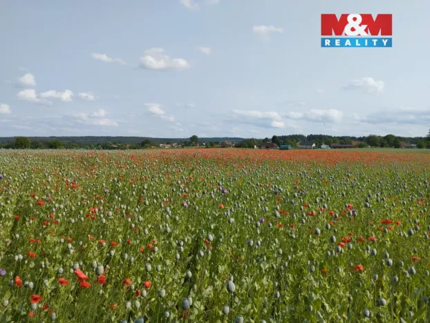 Pronájem chaty, Heřmanův Městec, Na Ježkovce, 387 m2
