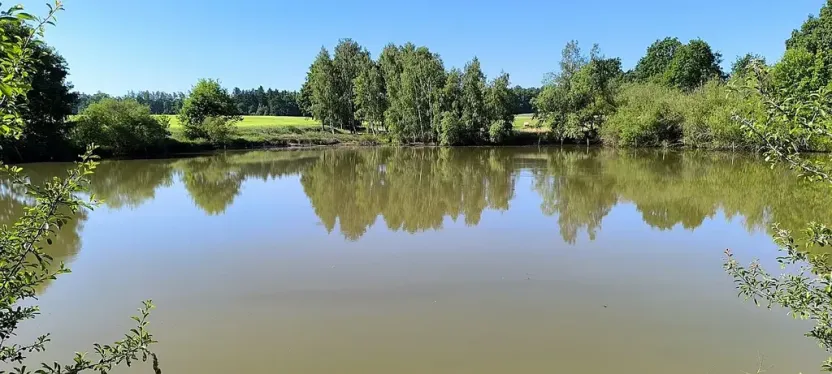 Prodej rybníku, Okrouhlá, 6048 m2