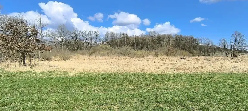 Prodej pole, Františkovy Lázně, 7083 m2