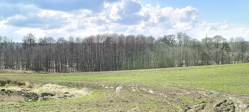 Prodej pozemku, Františkovy Lázně, 11892 m2