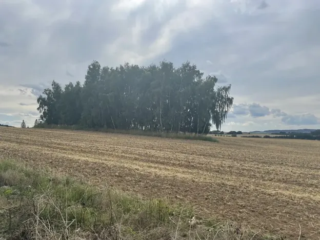 Prodej podílu pozemku, Krásněves, 12458 m2