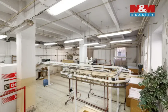 Prodej výrobních prostor, Jílové, Teplická, 3160 m2