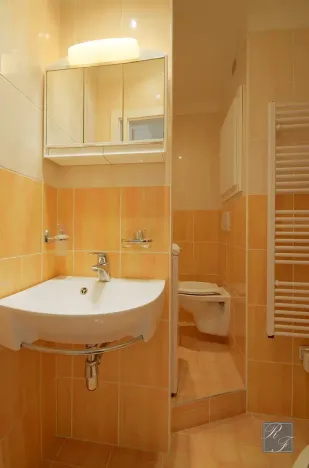 Pronájem bytu 2+kk, Ústí nad Labem, Brandtova, 43 m2