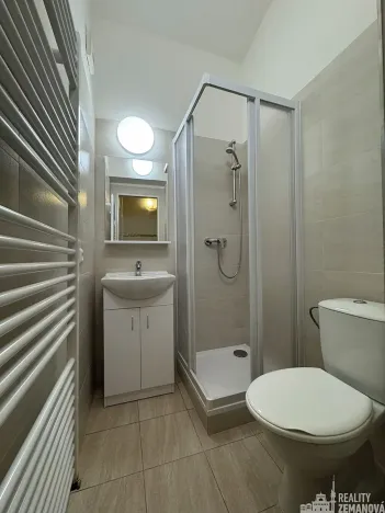 Pronájem bytu 2+kk, Praha - Vinohrady, Přemyslovská, 50 m2