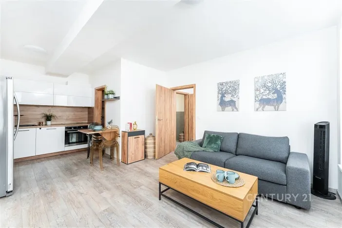 Pronájem bytu 2+kk, Praha, Plzeňská, 48 m2