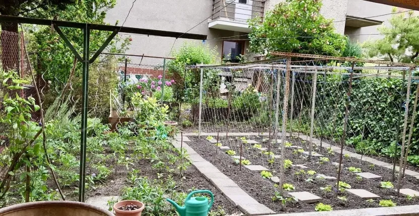 Pronájem bytu 2+1, Brno - Černá Pole, Tišnovská, 41 m2