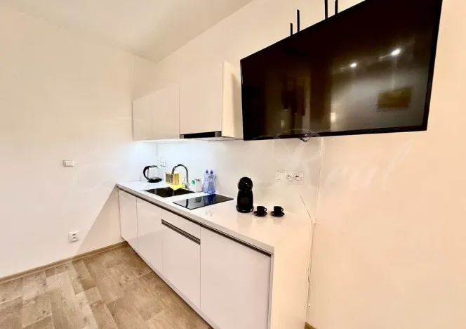 Pronájem bytu 1+kk, Brno - Brno-město, Kobližná, 50 m2