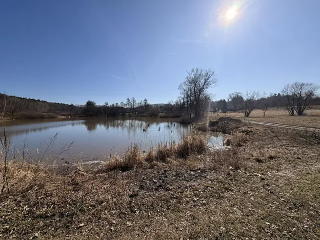 Prodej pozemku pro bydlení, Velká Bukovina, 997 m2