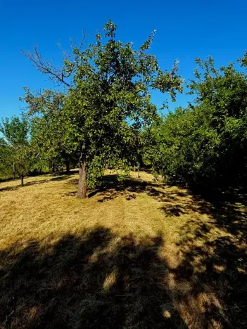 Pronájem zahrady, Olomouc, 1051 m2