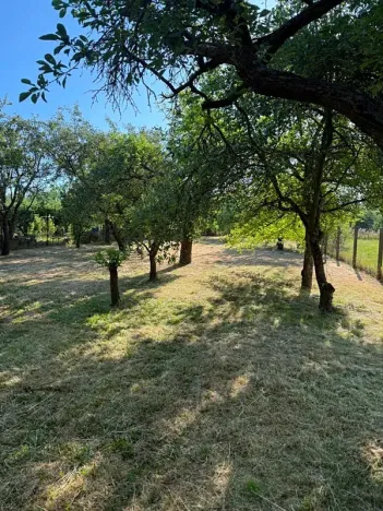 Pronájem zahrady, Olomouc, 1051 m2