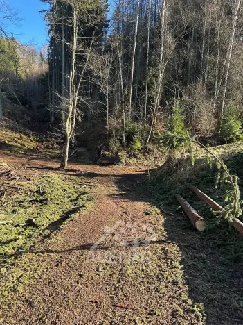 Prodej louky, Bozkov, 14441 m2