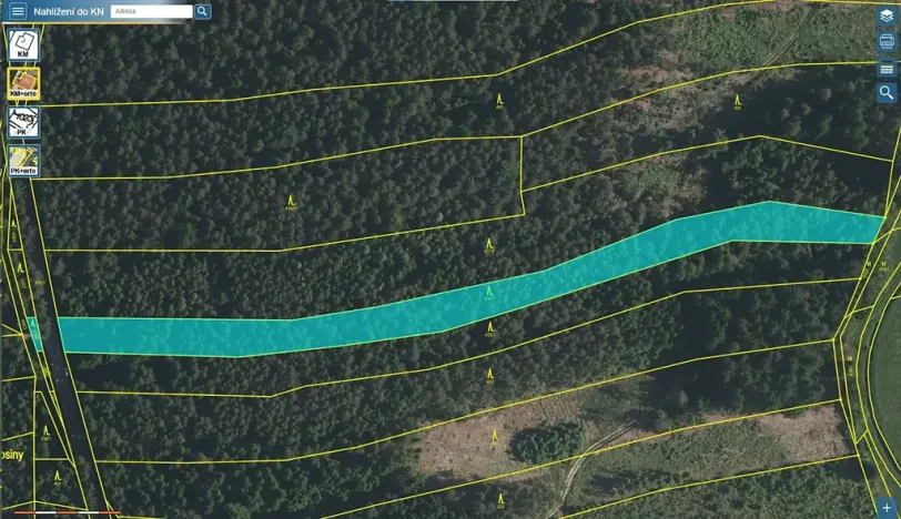 Prodej lesa, Horní Meziříčko, 6238 m2