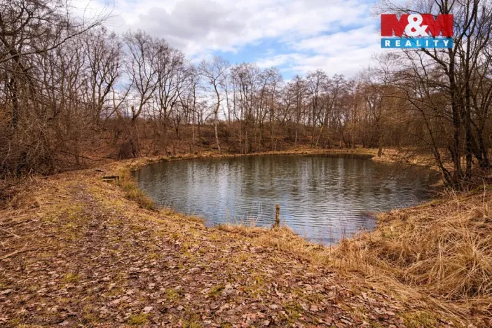 Prodej pozemku pro bydlení, Křečovice - Vlkonice, 68525 m2