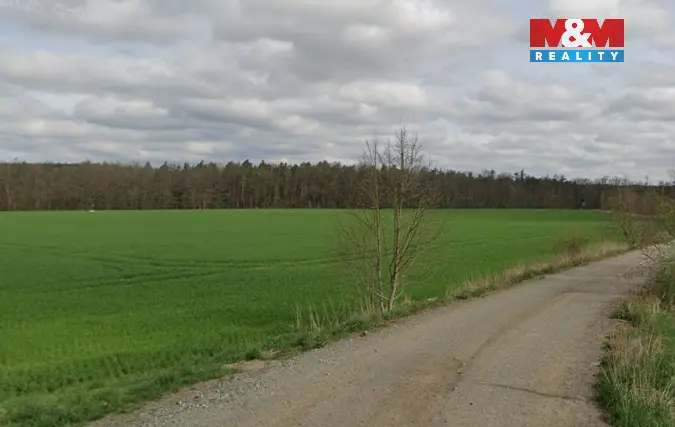 Prodej lesa, Plzeň - Bukovec, 3590 m2