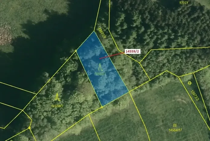 Dražba lesa, Hovězí, 605 m2