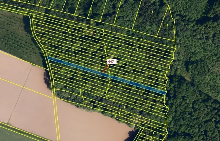 Dražba lesa, Hradčany-Kobeřice, 1989 m2