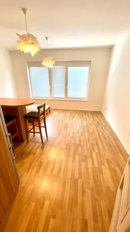 Pronájem bytu 1+kk, Brno, Přadlácká, 31 m2