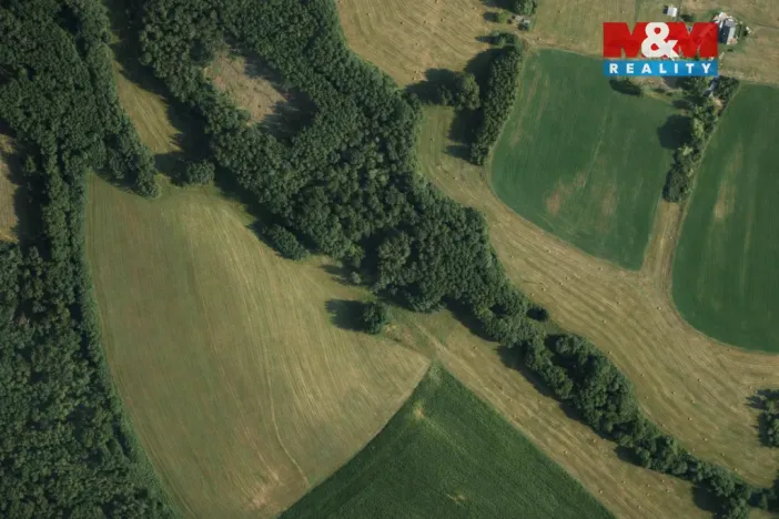 Prodej rybníku, Nový Bor - Pihel, 753 m2