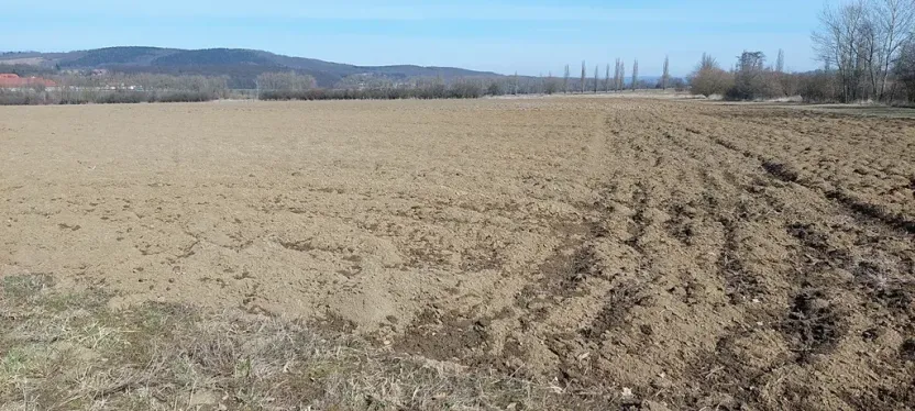 Prodej pole, Všeradice, 42604 m2