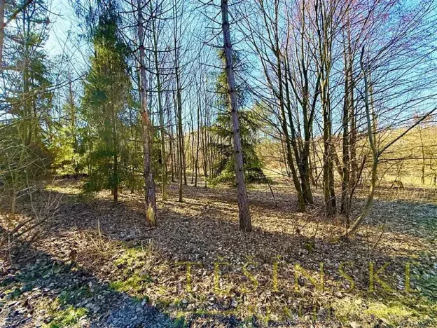 Prodej pole, Chotěbuz, Pod Zámkem, 2300 m2