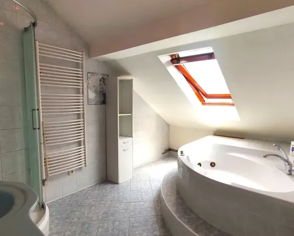 Pronájem bytu 3+1, Ostrava, Daliborova, 160 m2