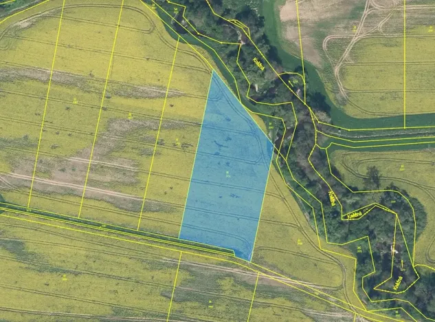 Prodej pole, Rychnov nad Kněžnou, 8230 m2