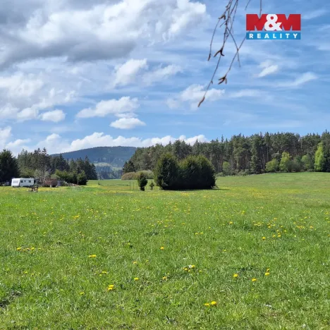 Prodej louky, Zdíkov - Masákova Lhota, 5959 m2