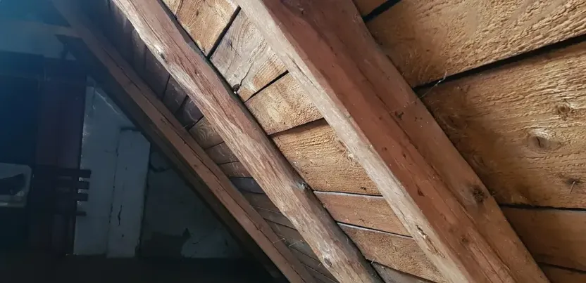 Prodej podílu rodinného domu, Nová Paka, Na Vyhlídce, 120 m2