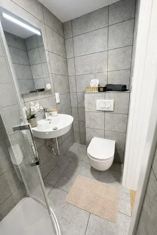 Pronájem bytu 1+kk, Praha - Vinohrady, Velehradská, 25 m2