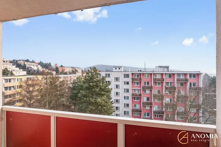 Pronájem bytu 1+1, Brno, Vavřinecká, 35 m2
