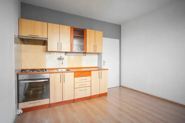 Prodej bytu 1+1, Plzeň - Jižní Předměstí, Čermákova, 39 m2