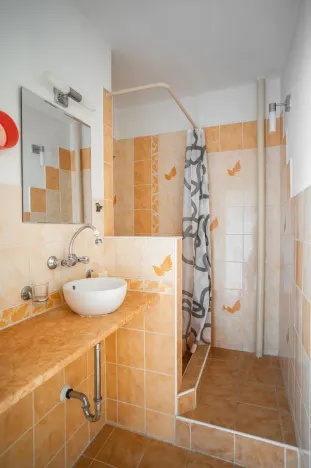 Prodej bytu 1+1, Plzeň - Jižní Předměstí, Čermákova, 39 m2