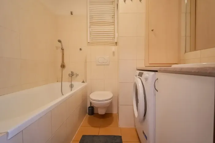 Prodej bytu 1+kk, Ostrava, Gen. Píky, 28 m2