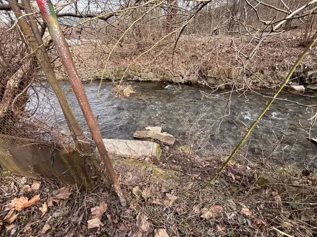 Prodej zahrady, Hodkovice nad Mohelkou, Rychnovská, 341 m2