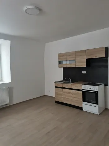 Pronájem bytu 1+kk, Chotěšov, Ořechová, 38 m2