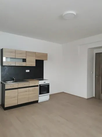 Pronájem bytu 1+kk, Chotěšov, Ořechová, 38 m2
