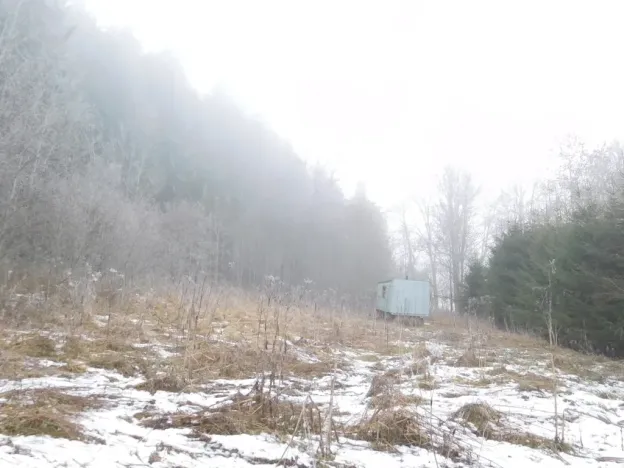 Dražba louky, Horní Planá, 3804 m2