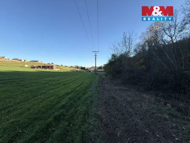 Prodej lesa, Velká Polom, 1901 m2