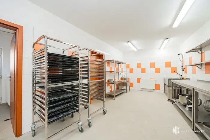 Pronájem výrobních prostor, Zlonín, Hlavní, 50 m2