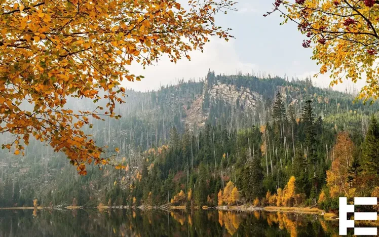 Prodej pozemku pro bydlení, Horní Planá, 842 m2