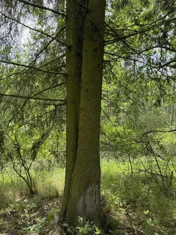 Prodej podílu pozemku, Suchdol, 3247 m2