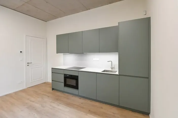 Prodej bytu 3+kk, Praha - Nusle, Boleslavova, 58 m2