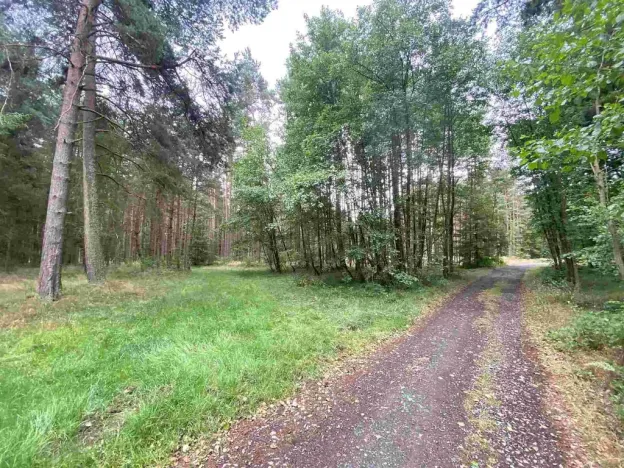 Prodej pozemku, Kladruby - Tuněchody, 1744 m2