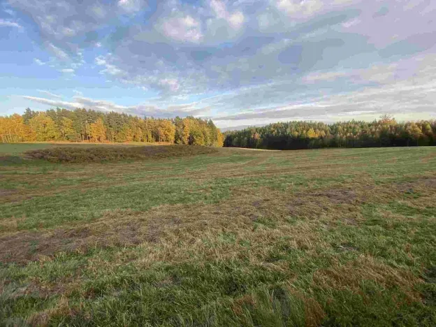 Prodej pole, Cvikov - Trávník, 7470 m2