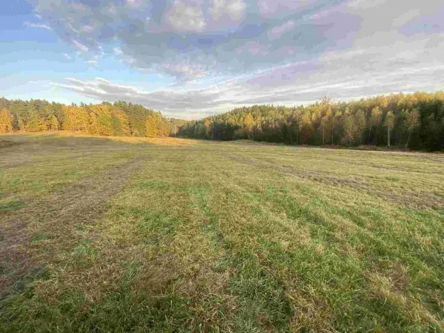 Prodej pole, Cvikov - Trávník, 7470 m2