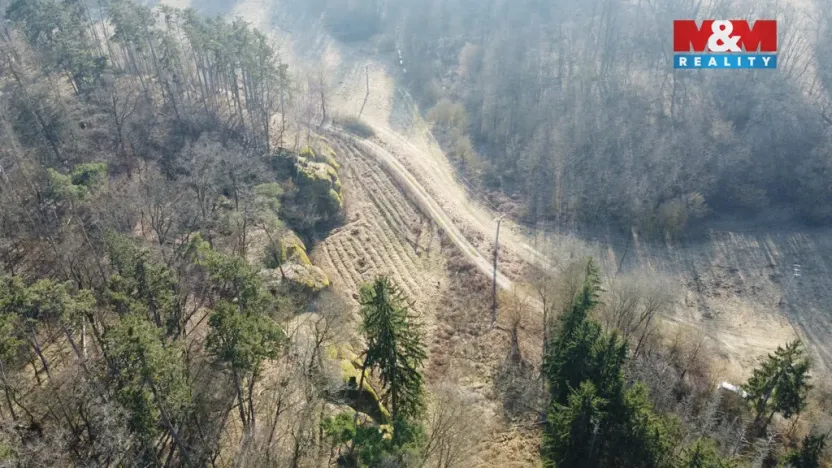 Prodej louky, Vysoká, 1003 m2