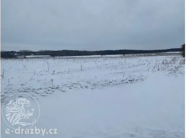 Dražba pole, Toušice, 7911 m2