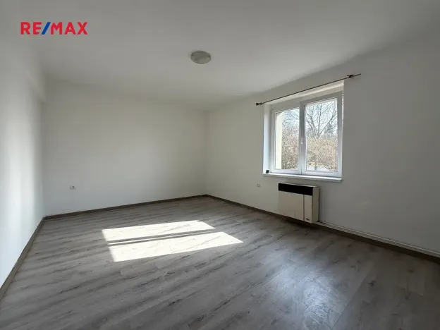 Prodej bytu 1+1, Benátky nad Jizerou, Dražická, 50 m2