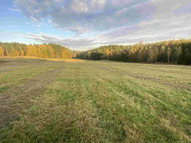 Dražba louky, Cvikov, 7470 m2